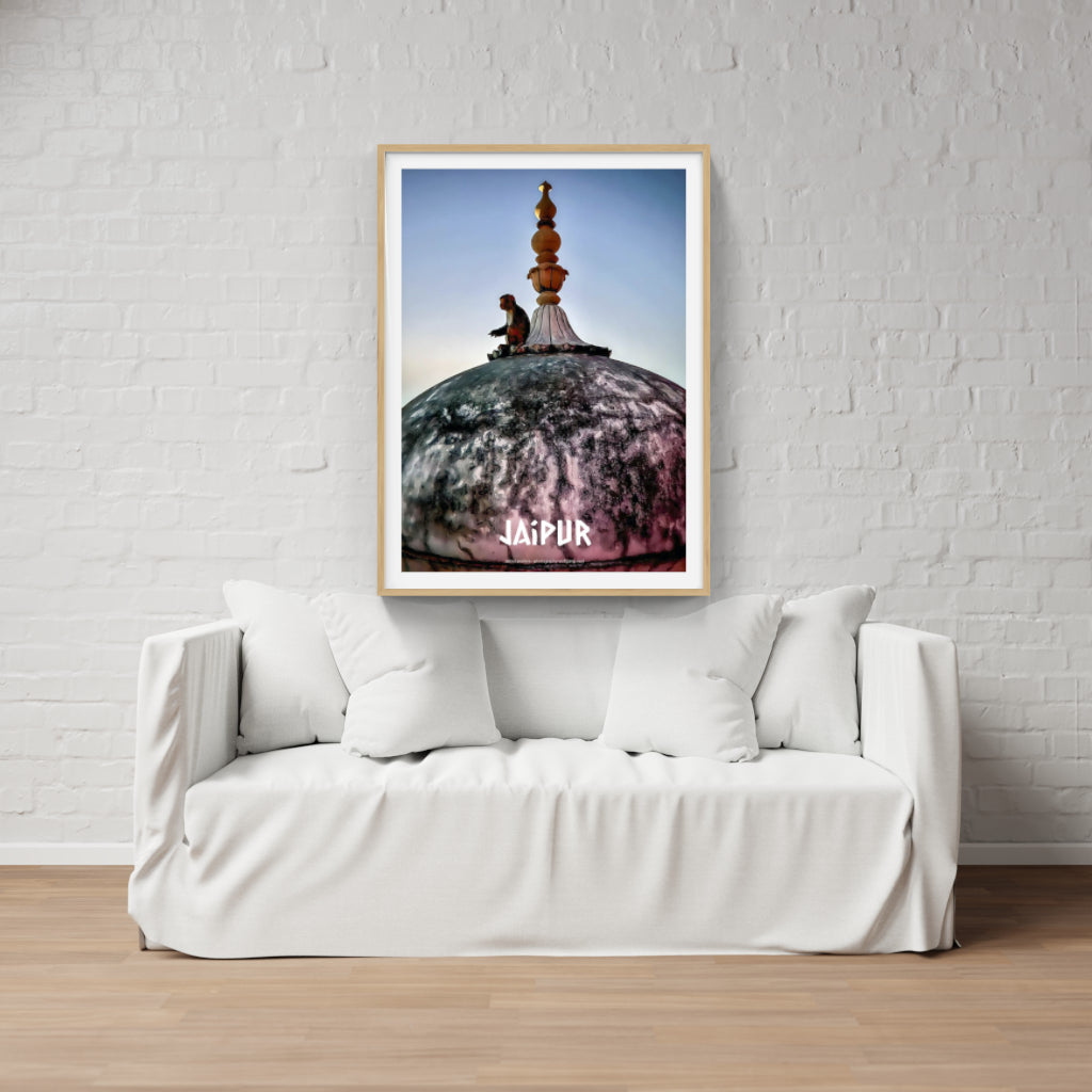 The Monkey Temple, Jaipur poster