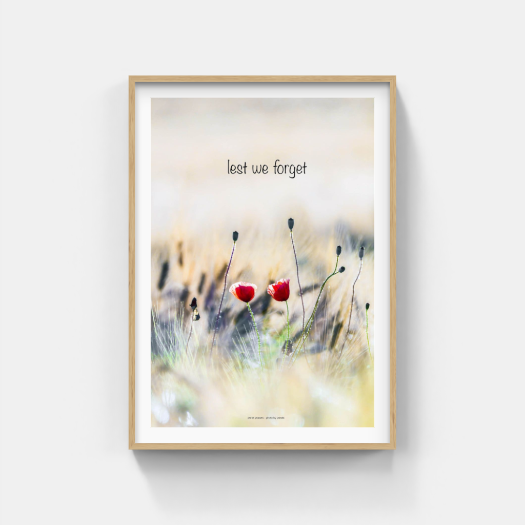 Lest We Forget poster