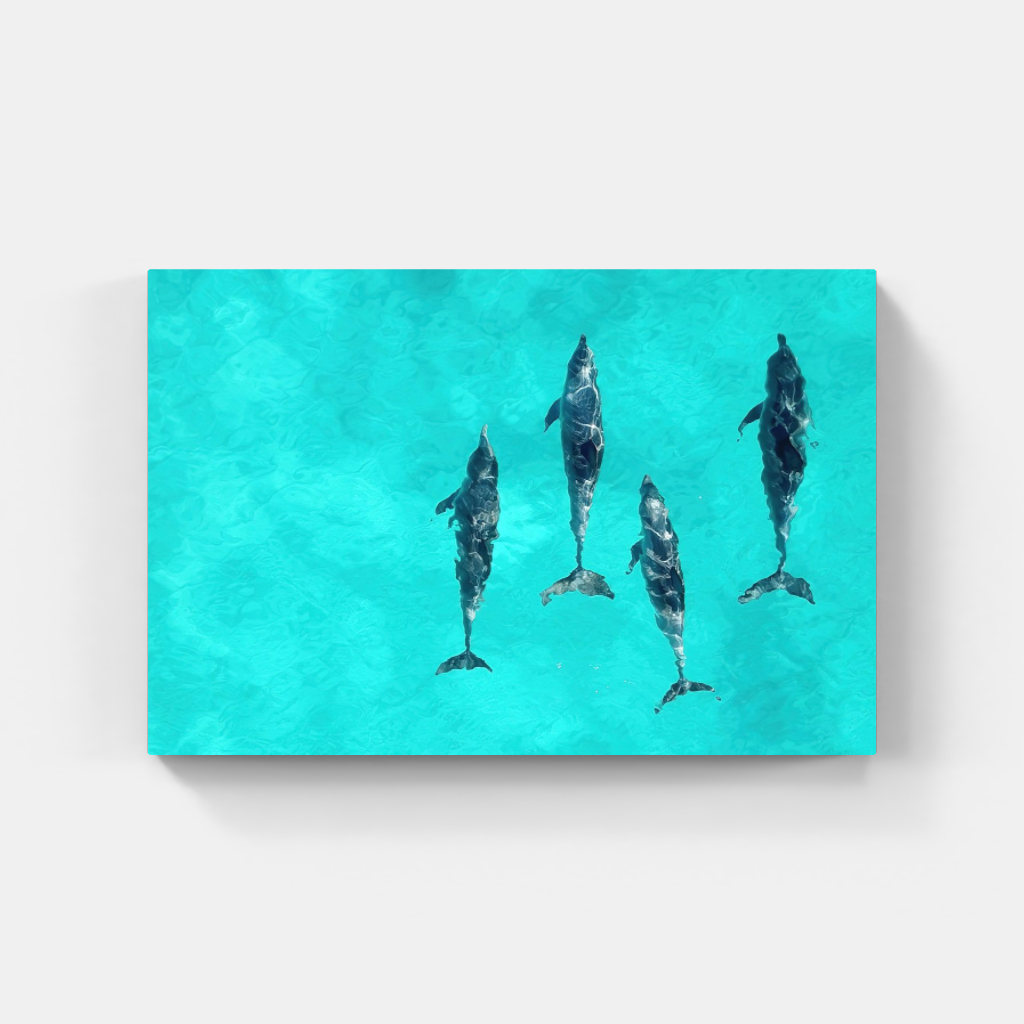 The Intelligence of Dolphins poster