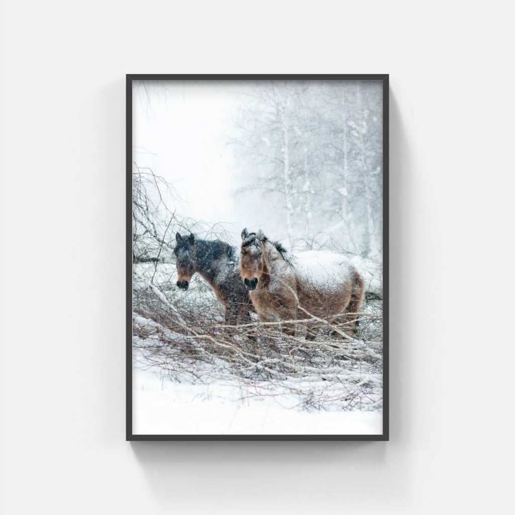 Snow Horses poster