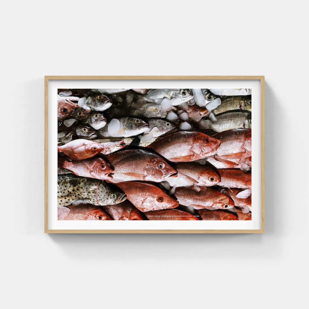 Fresh Fish Ocean Colours poster