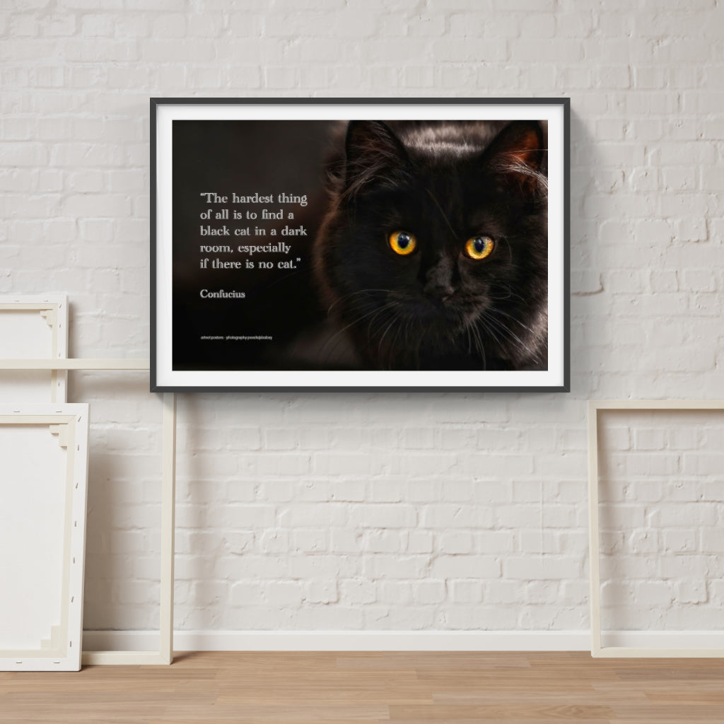 Confucian Cat poster