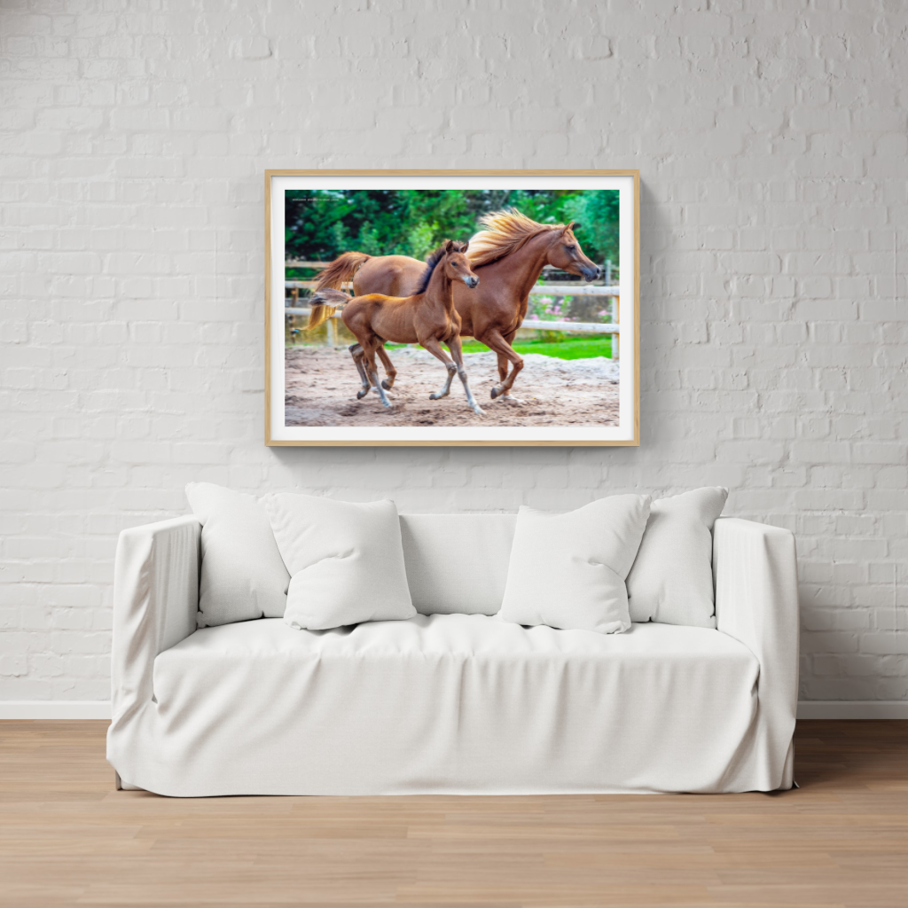 Mother and Foal poster