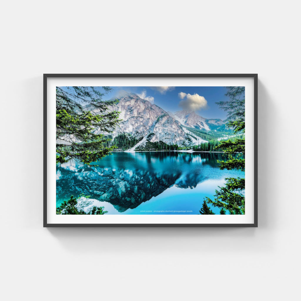 Lake Reflection poster