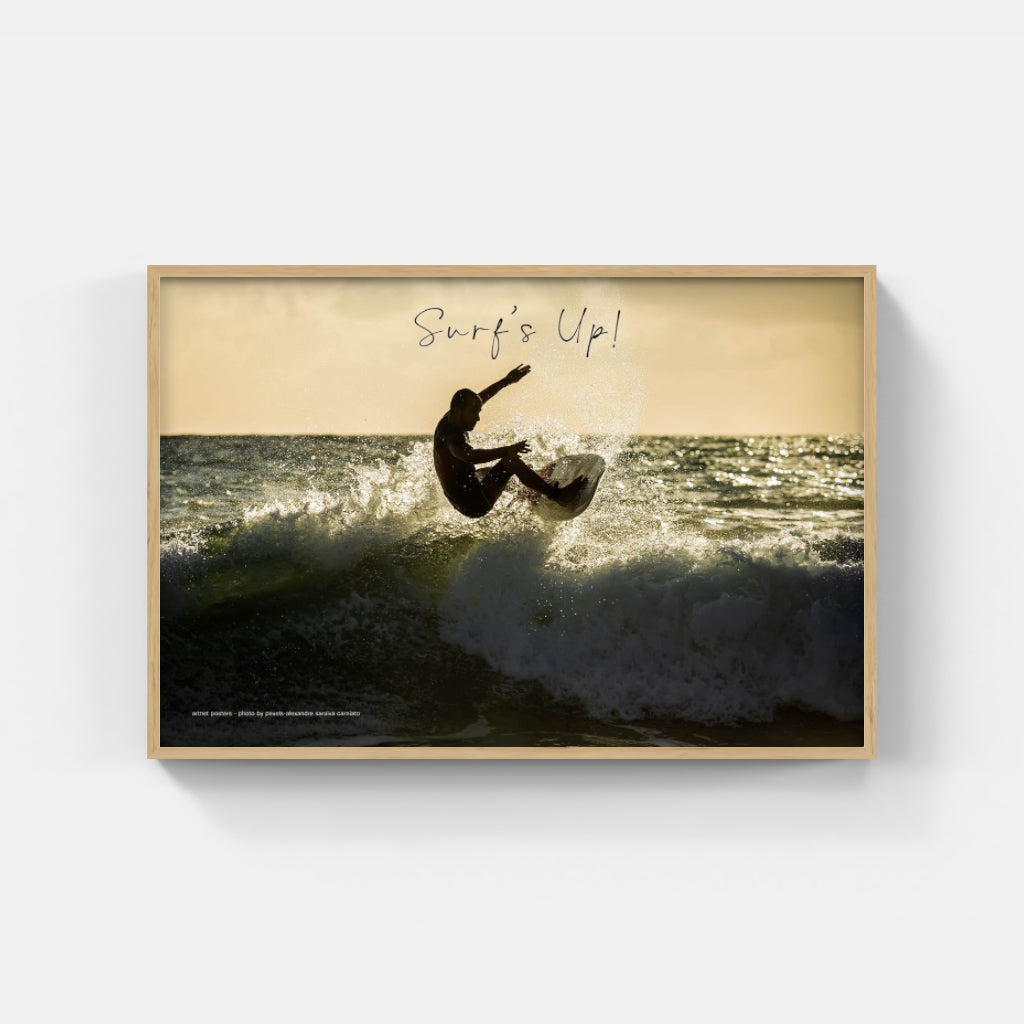 Surf's Up poster