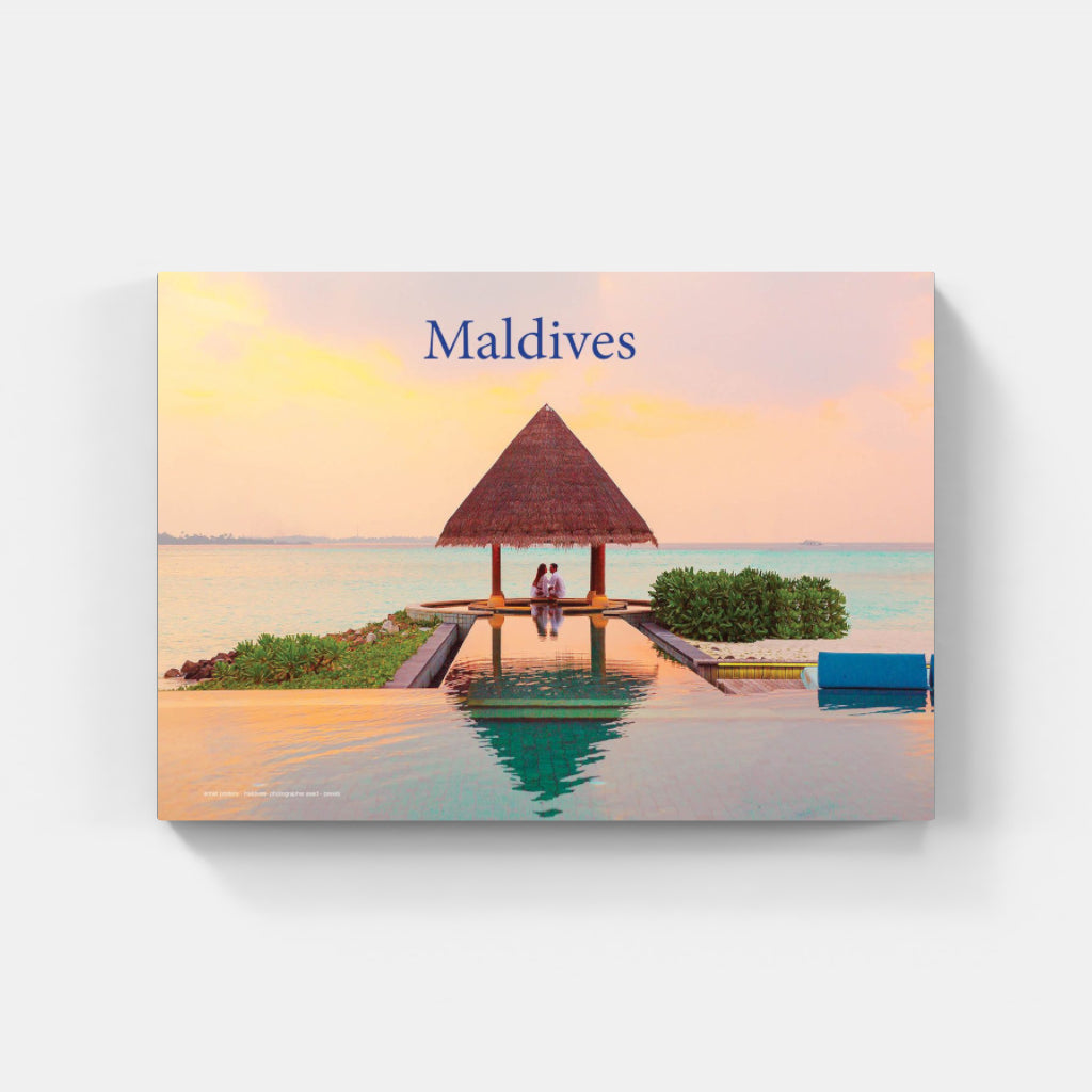 Love in the Maldives poster