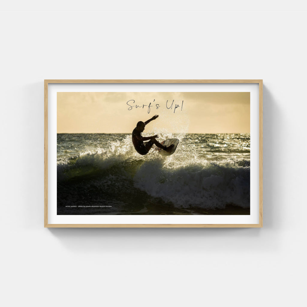 Surf's Up poster