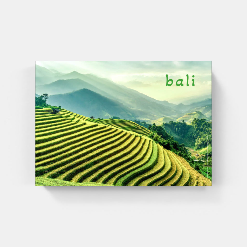 Bali Rice Terraces poster