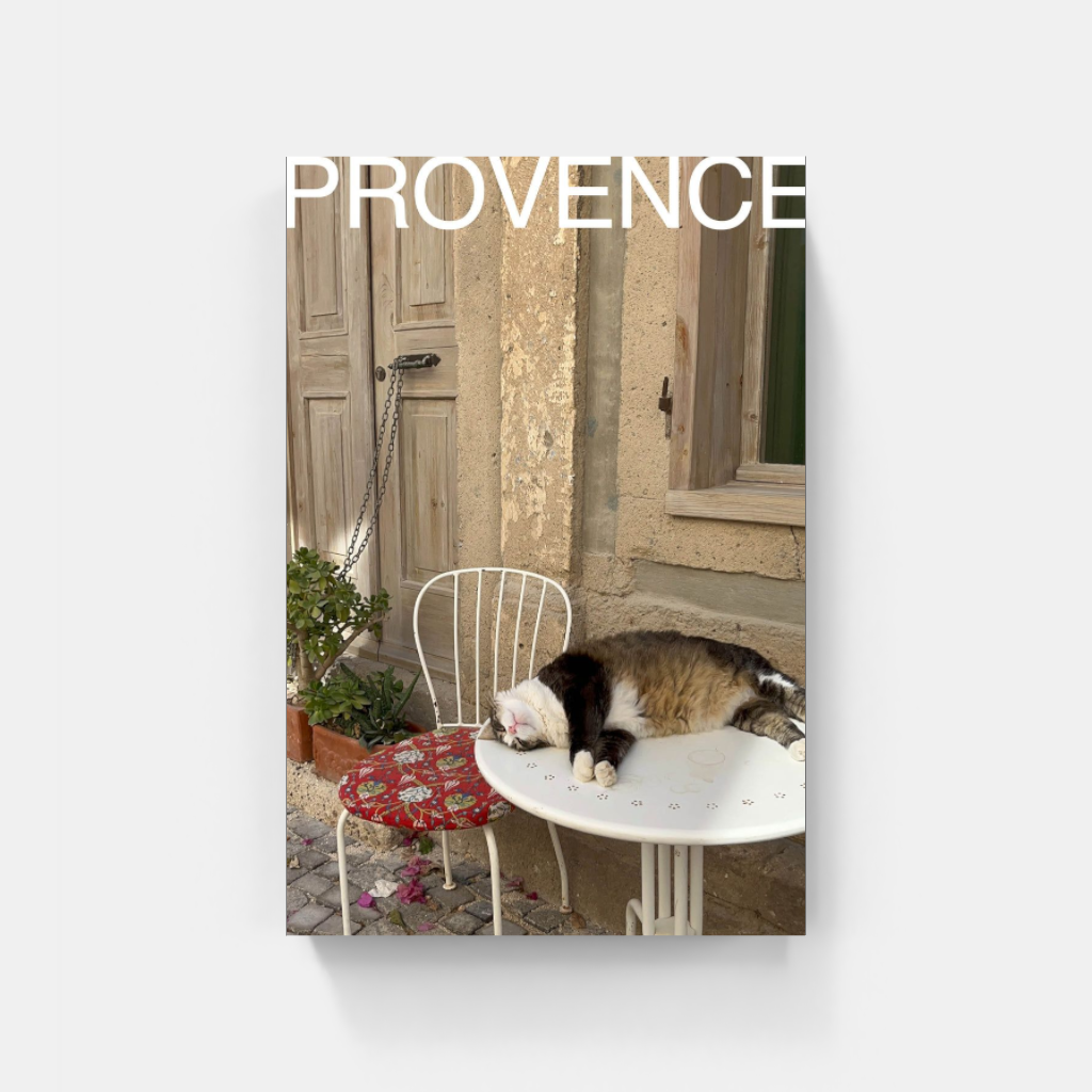 Comatose Cat in Provence poster