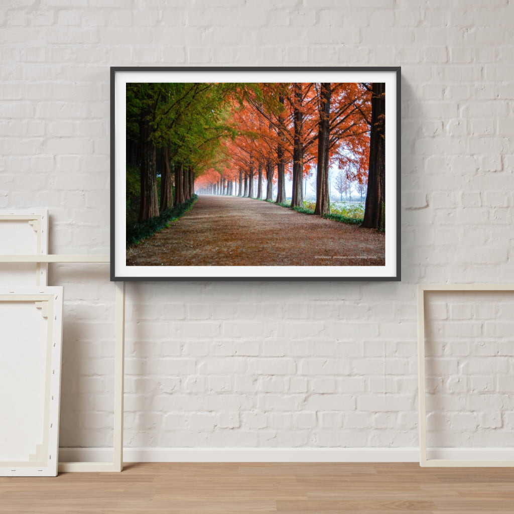 Autumn Trees poster