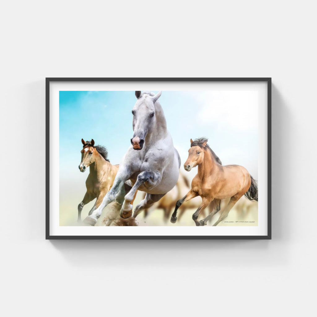 Running Horses poster