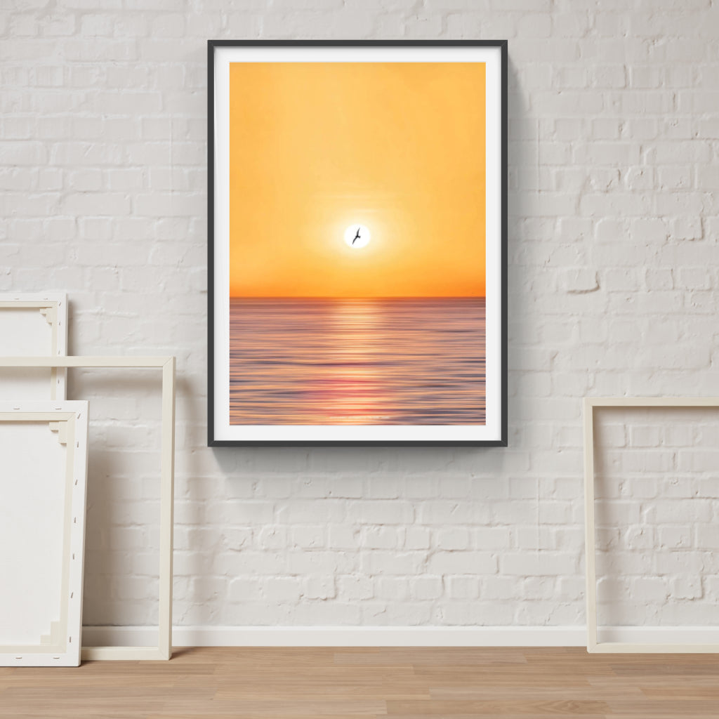 Seagull over Sorrento poster