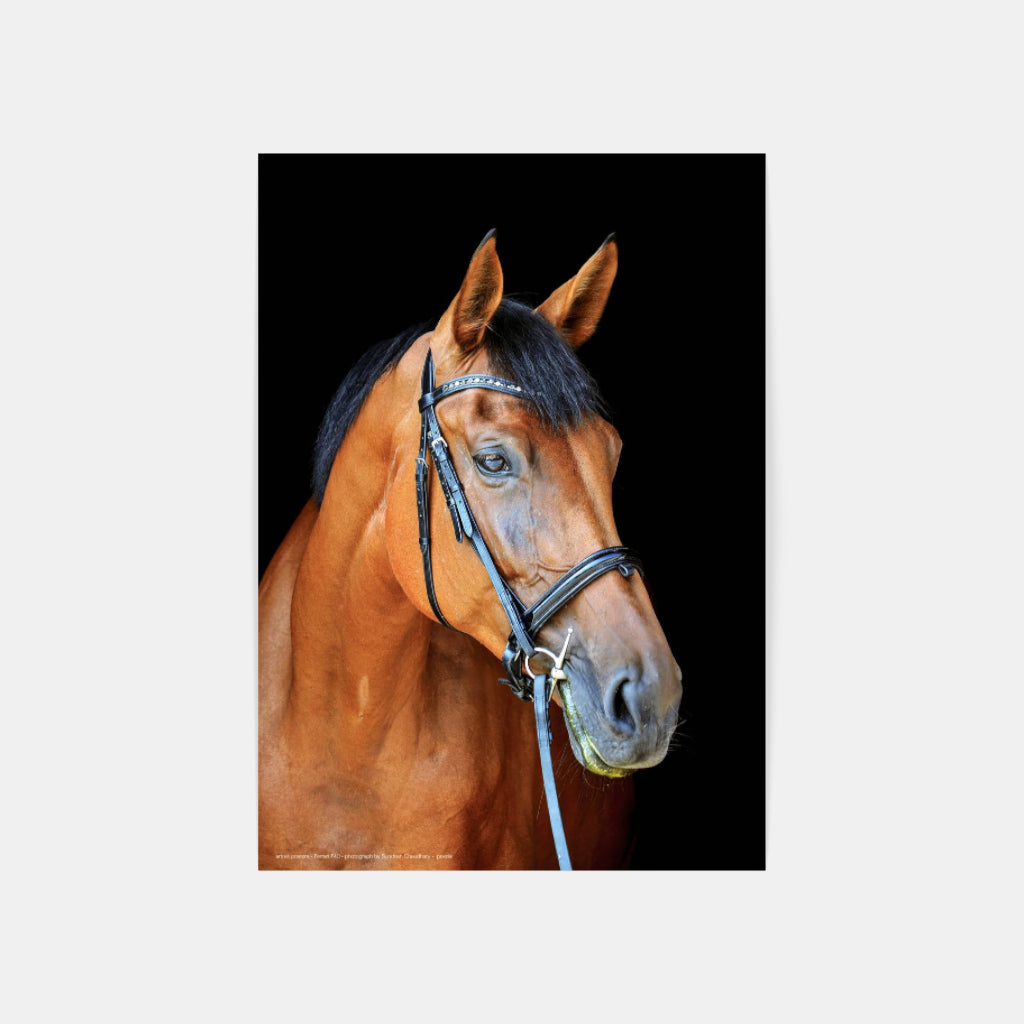 Thoroughly Well-Bred horse poster