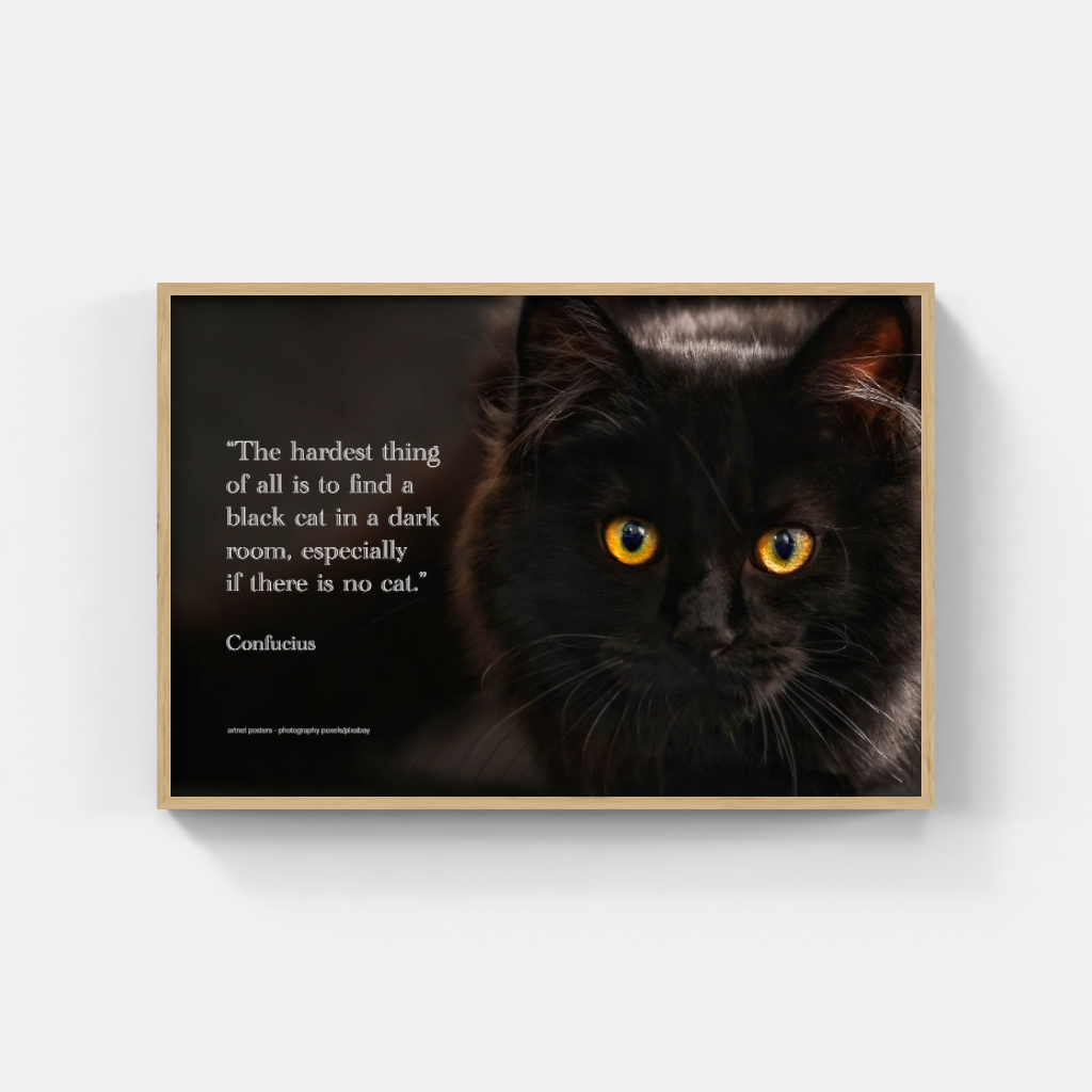 Confucian Cat poster