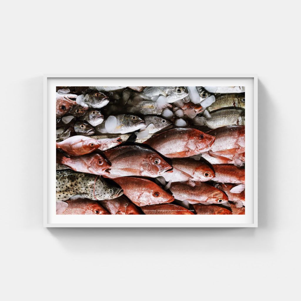 Fresh Fish Ocean Colours poster