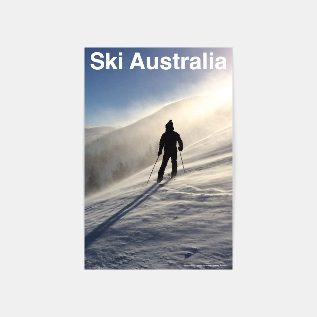 The Art of Telemark poster