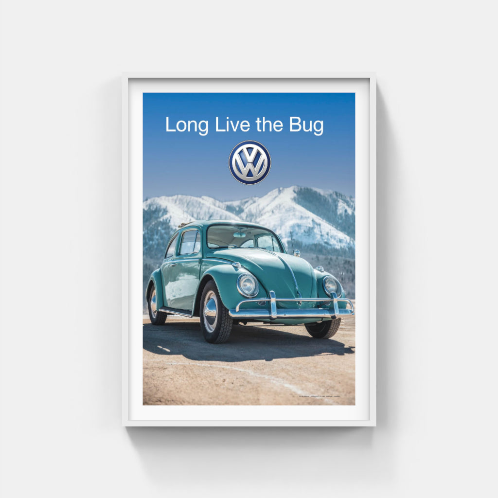 Long Live the Bug poster