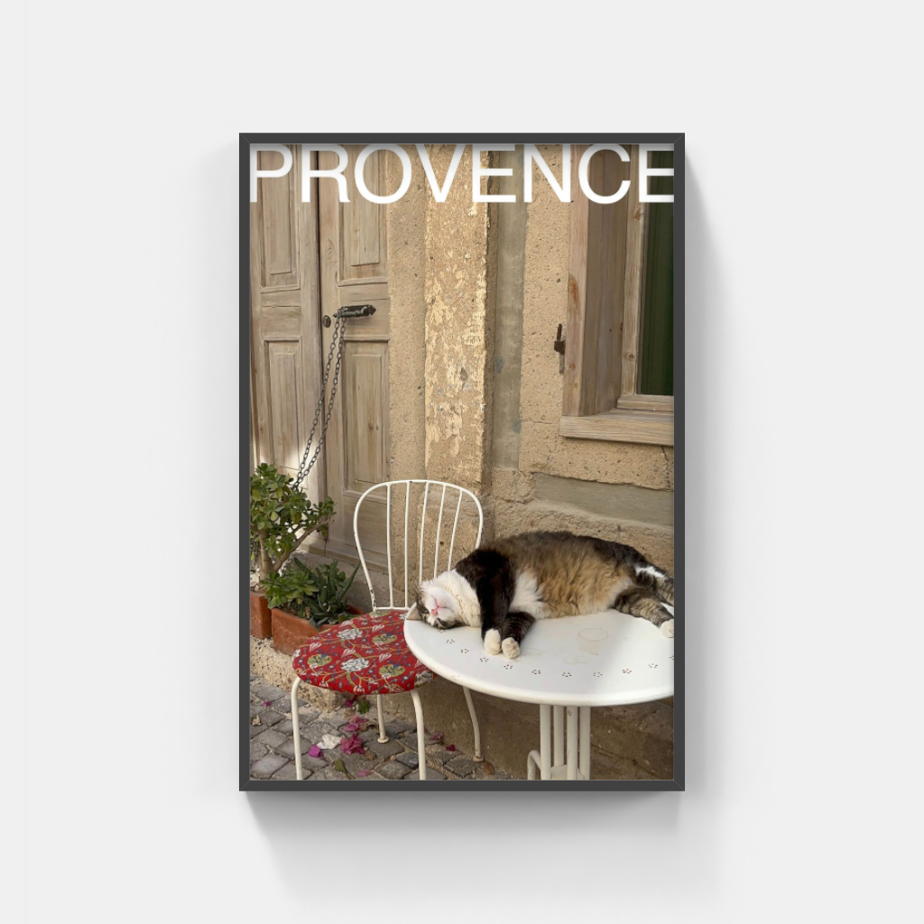 Comatose Cat in Provence poster