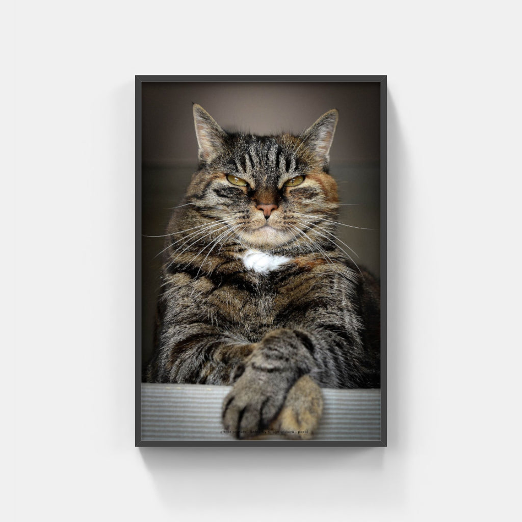 Master of the Universe cat poster