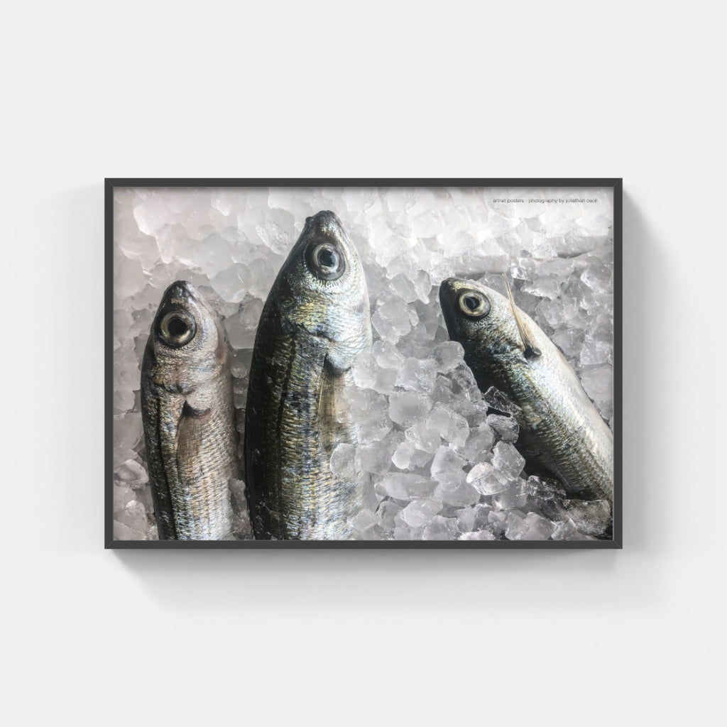 Fresh Fish poster