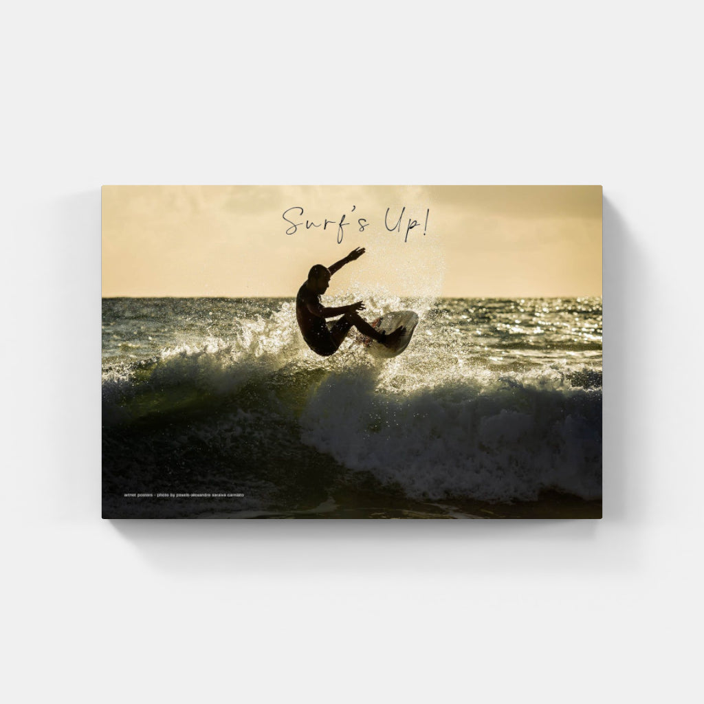 Surf's Up poster