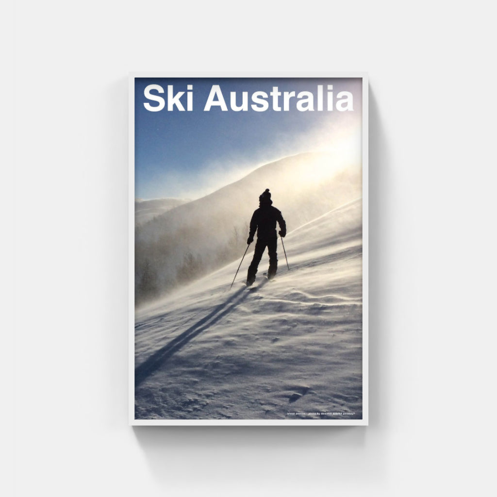 The Art of Telemark poster