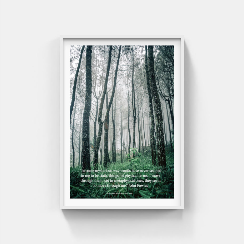 Mysterious Woods poster