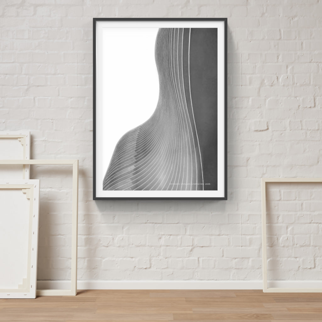 The Architecture of Curves poster