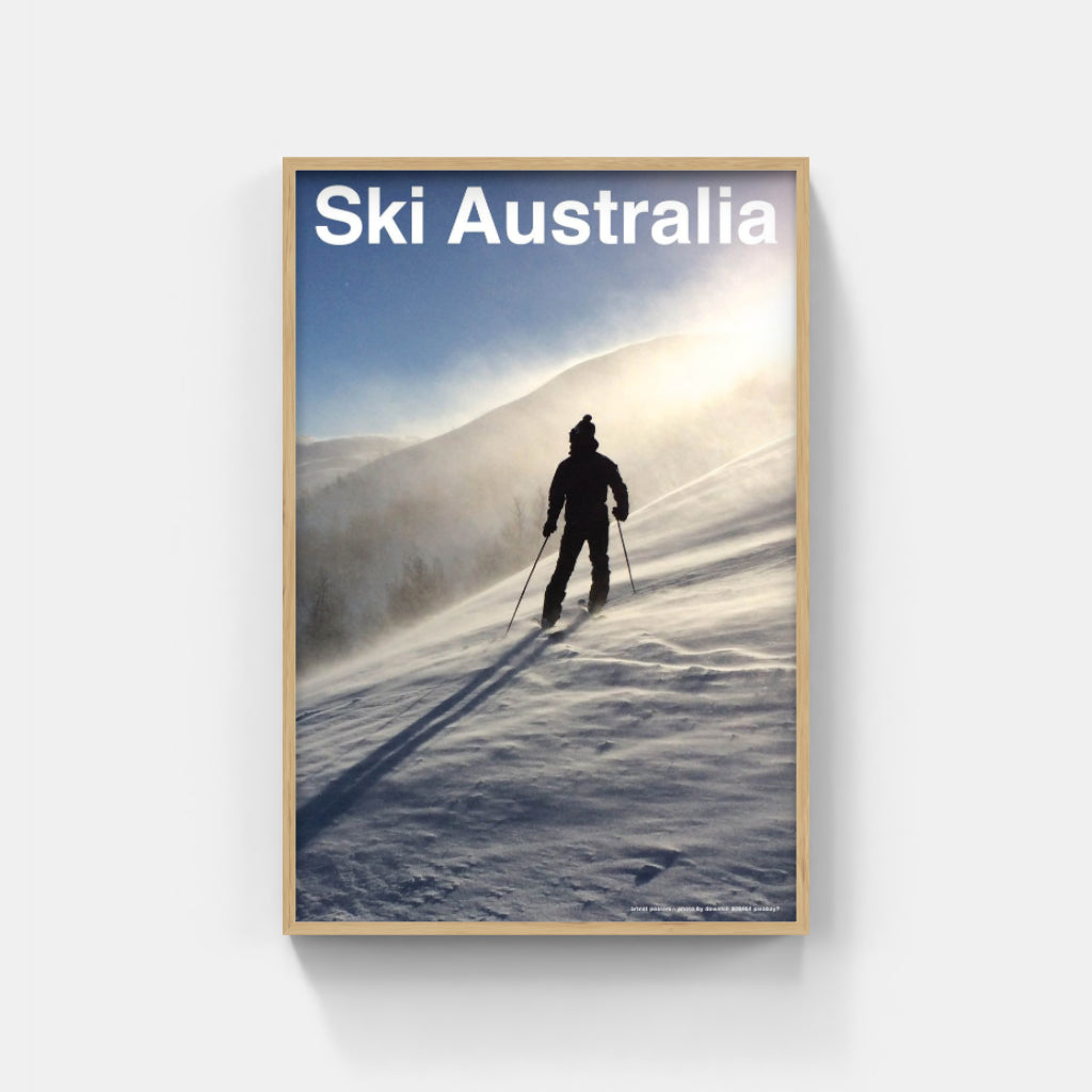 The Art of Telemark poster