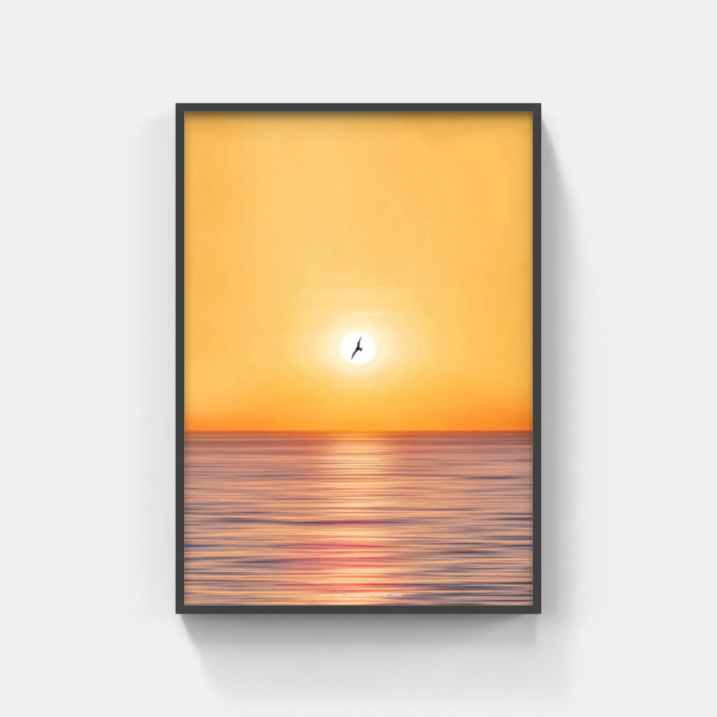 Seagull over Sorrento poster