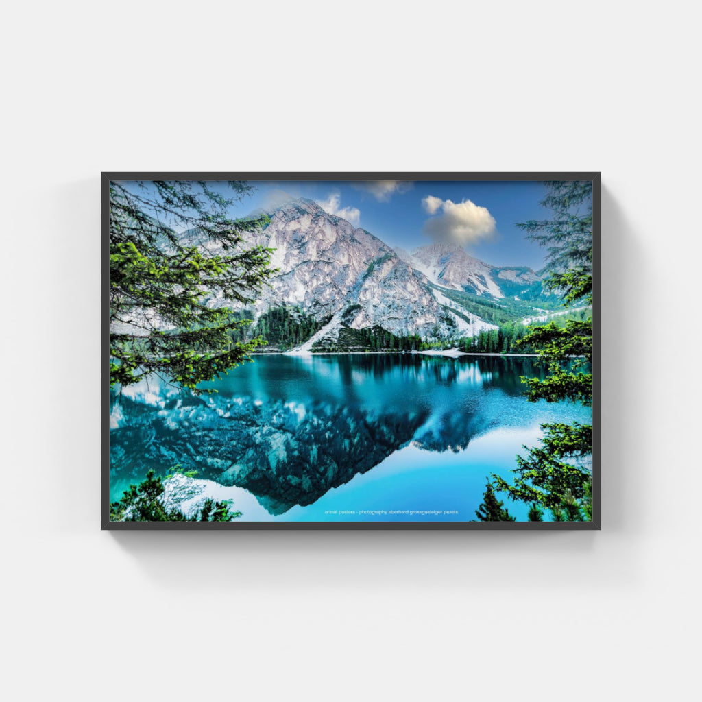 Lake Reflection poster