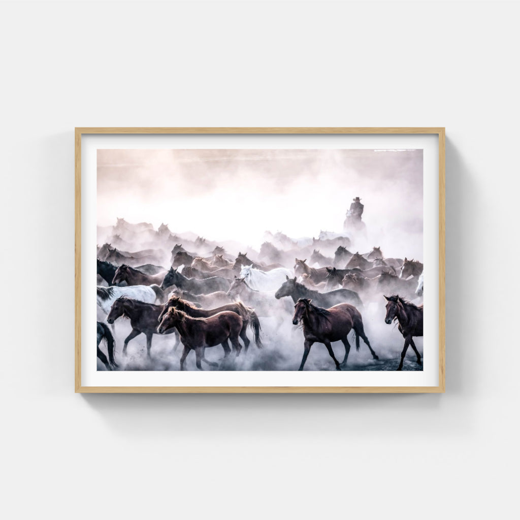 Round Up horses poster