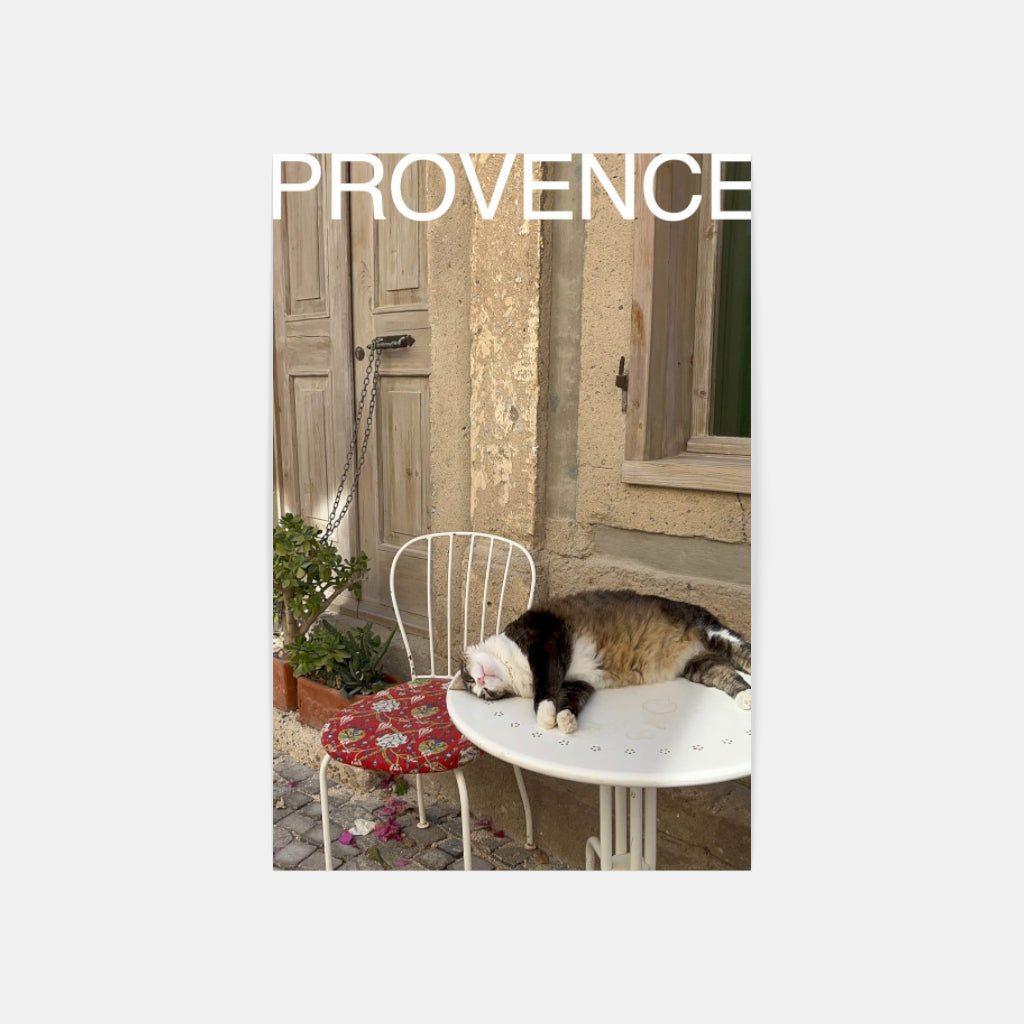 Comatose Cat in Provence poster