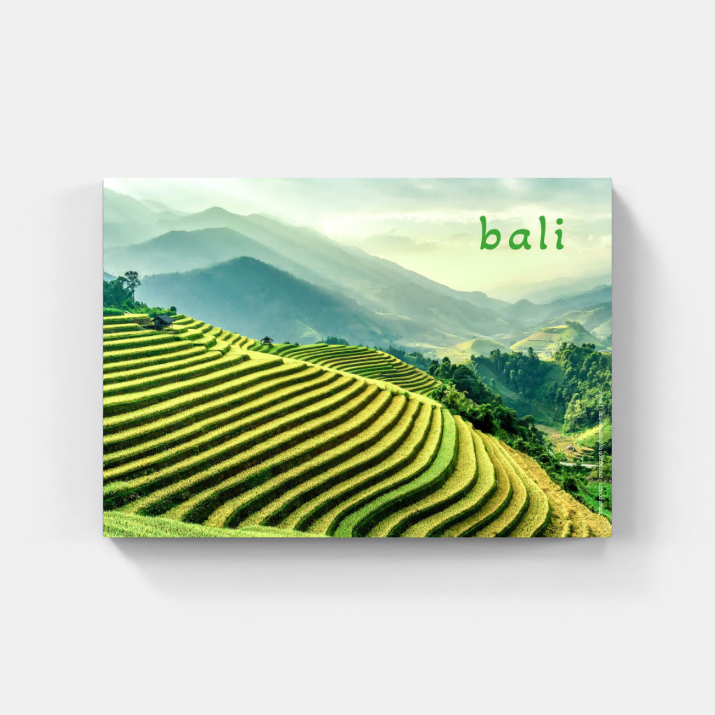 Bali Rice Terraces poster