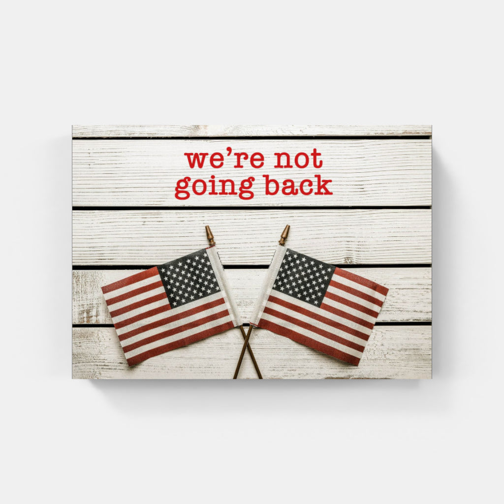 We're Not Going Back poster