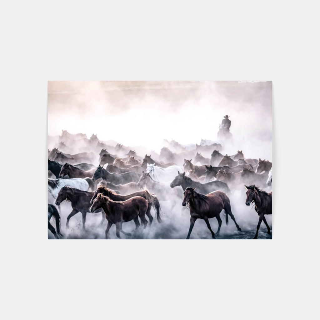 Round Up horses poster