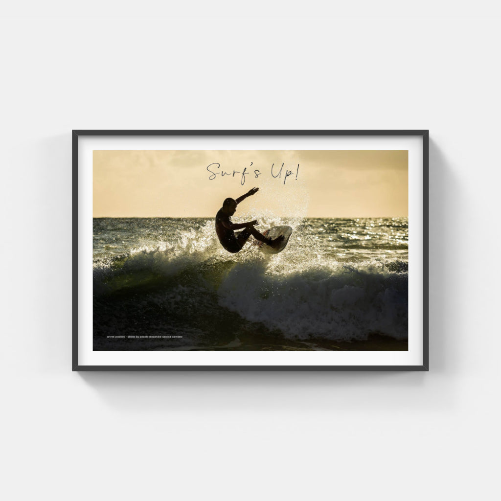 Surf's Up poster