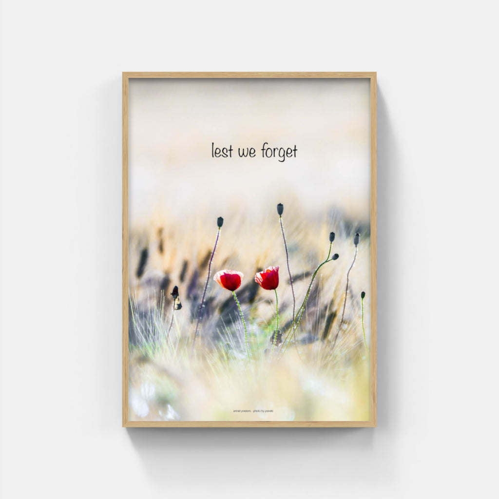 Lest We Forget poster