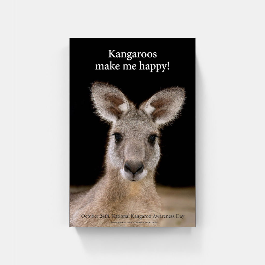 Kangaroos Make me Happy poster