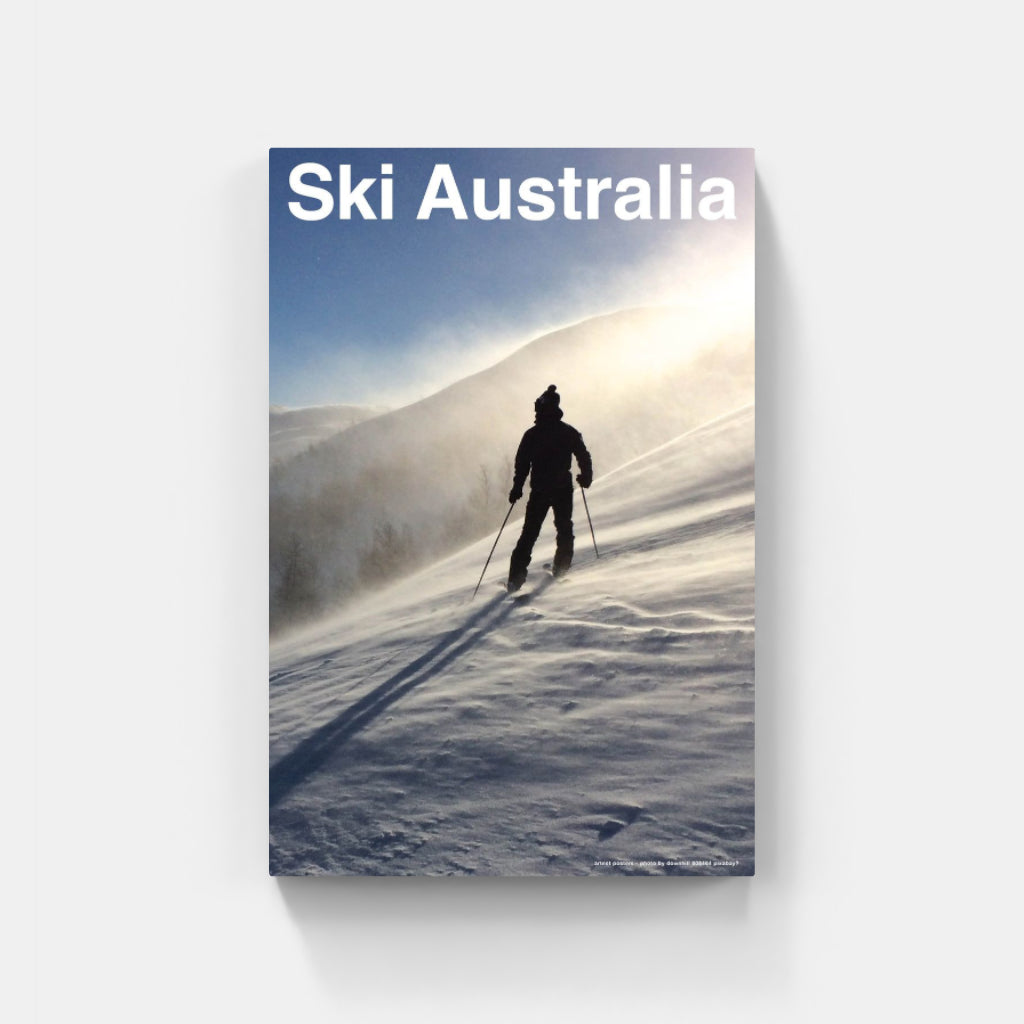 The Art of Telemark poster