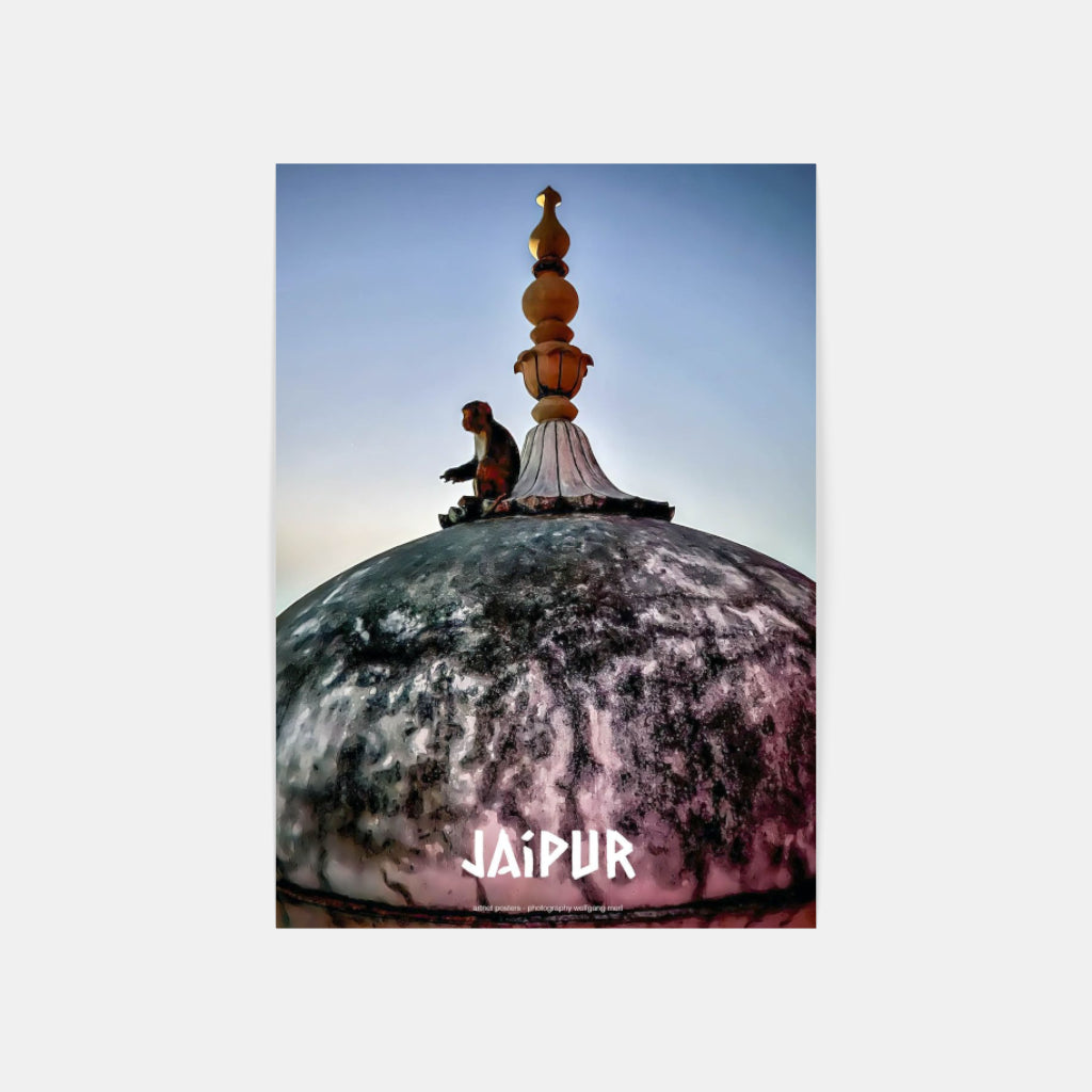 The Monkey Temple, Jaipur poster