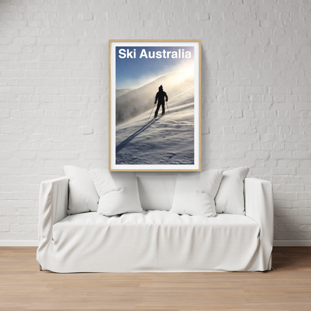 The Art of Telemark poster