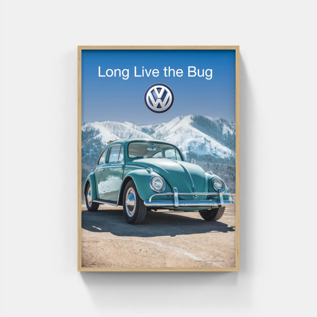 Long Live the Bug poster