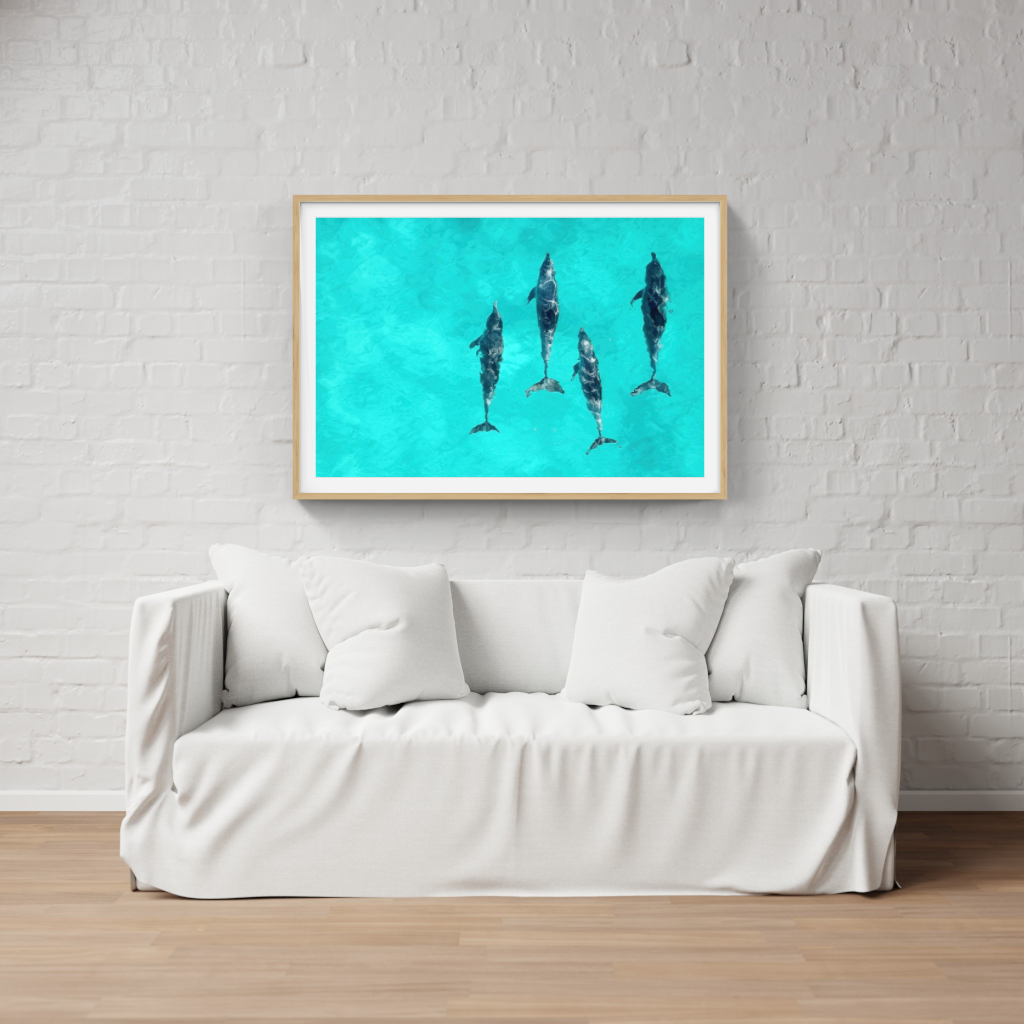 The Intelligence of Dolphins poster