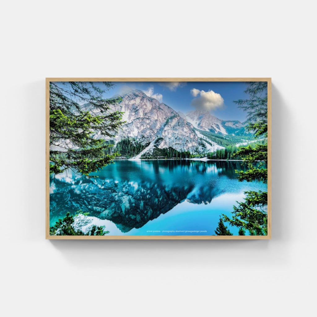 Lake Reflection poster