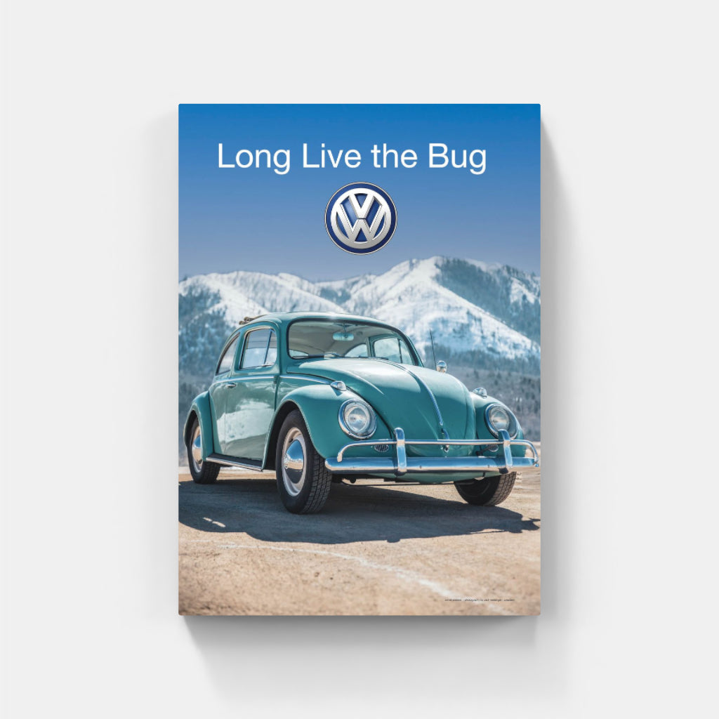 Long Live the Bug poster