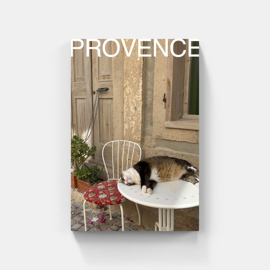 Comatose Cat in Provence poster