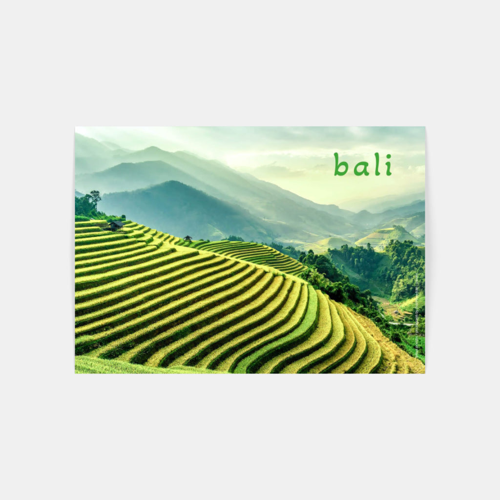 Bali Rice Terraces poster