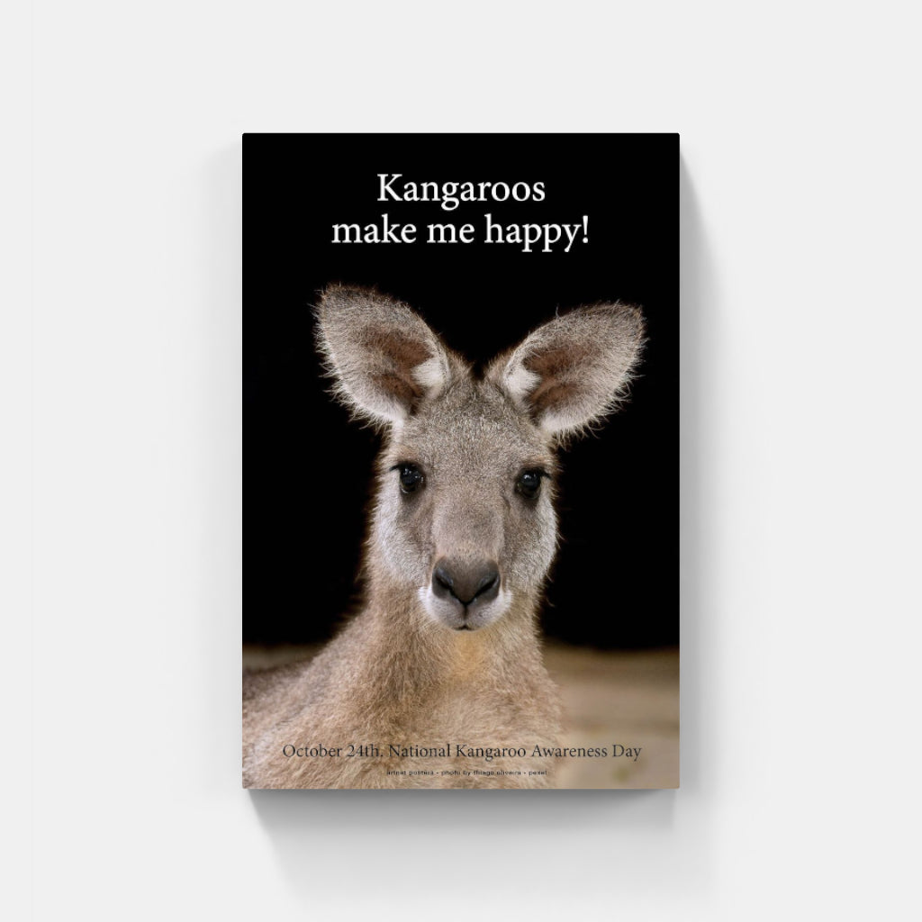 Kangaroos Make me Happy poster