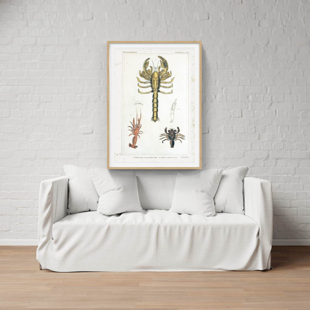 Vintage Crustaceans retro poster